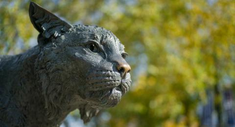 wildcat statue