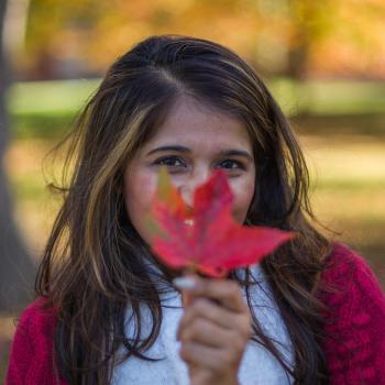 一个主要研究学生拿着枫叶上的一片红叶，背景是金色的树叶